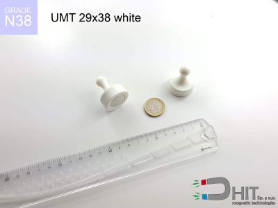 UMT 29x38 white N38 - magnesy do tablic